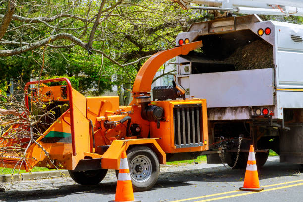 Best Fruit Tree Pruning  in Prescott, WI