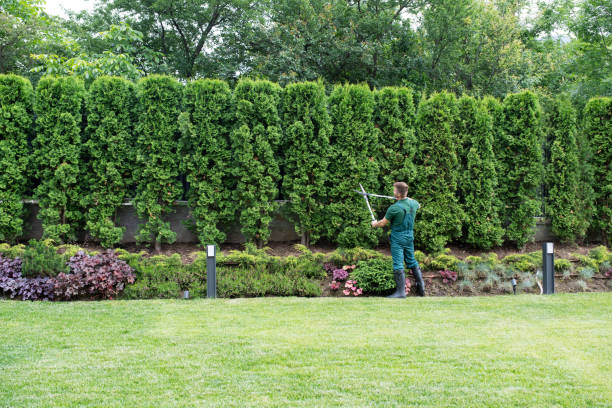 Best Lawn Renovation and Restoration  in Prescott, WI